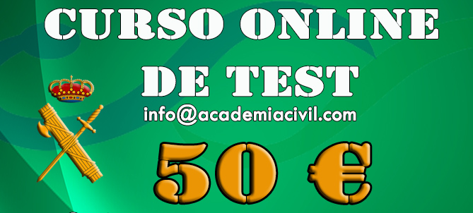 Curso Online de Test – 50 € (hasta el examen)